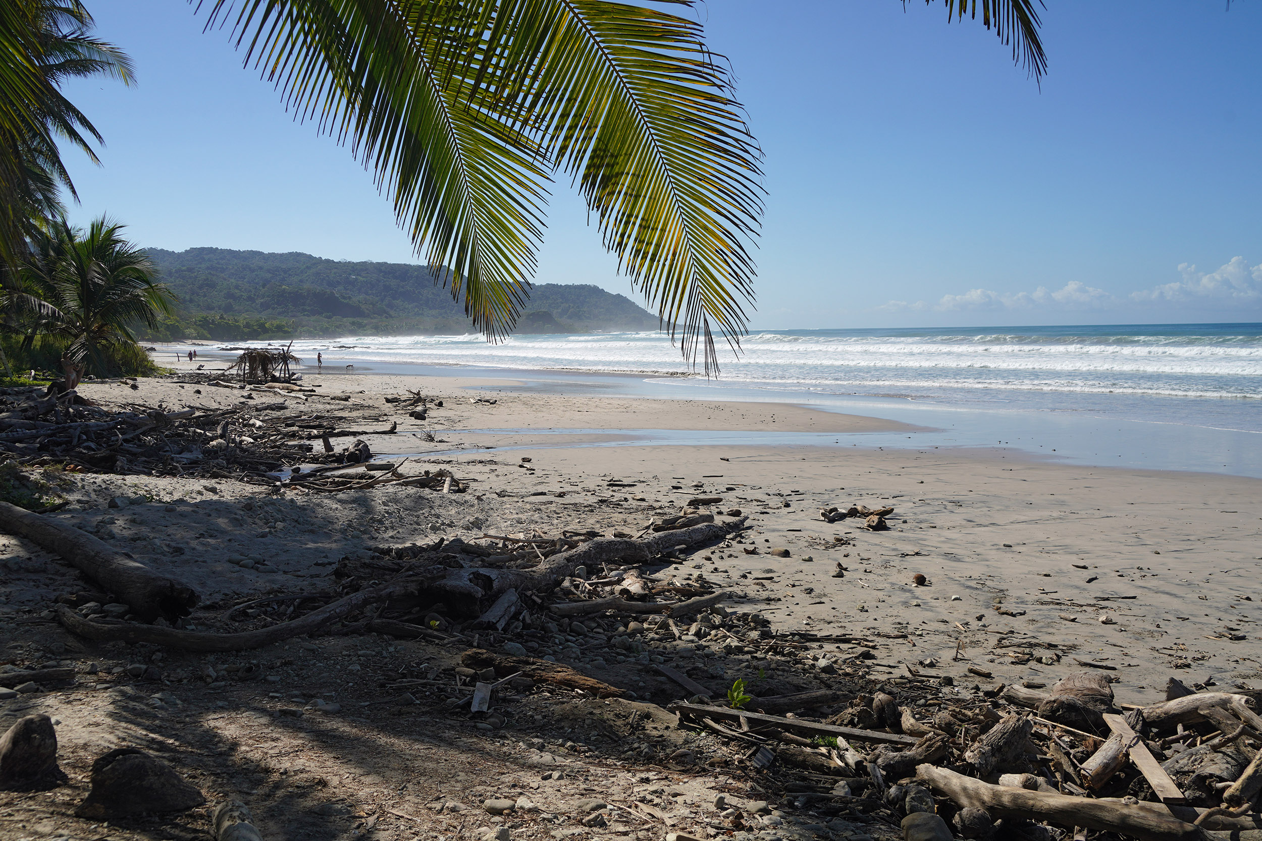 Costa Rica - Février 2025